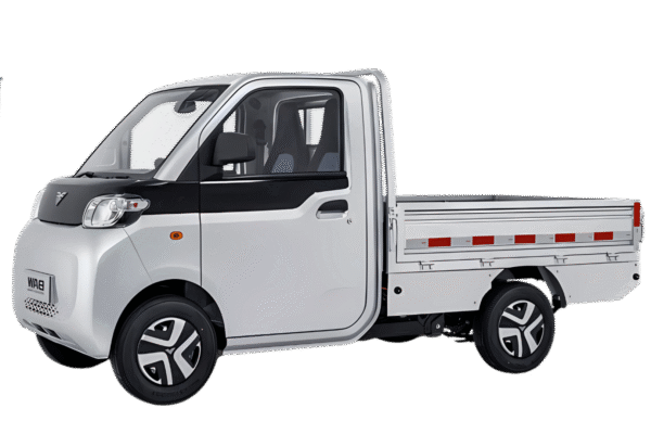 MINI TRUCK PICK UP